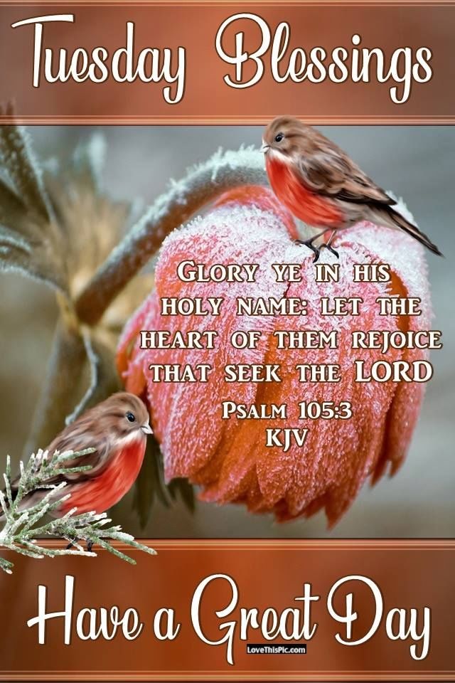 Glory In His Holy Name. Tuesday Blessings Pictures, Photos, and Images