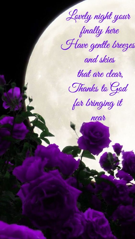 Image result for lovely night image