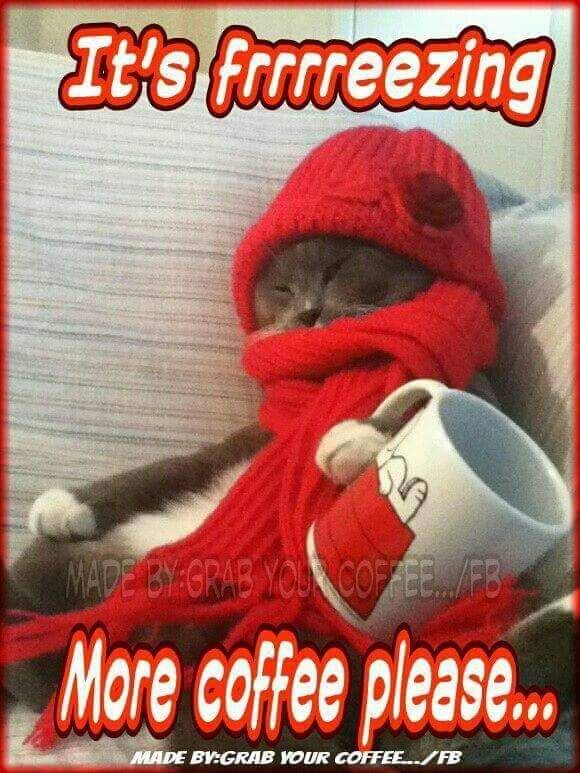 More Coffee Please Pictures, Photos, and Images for Facebook, Tumblr