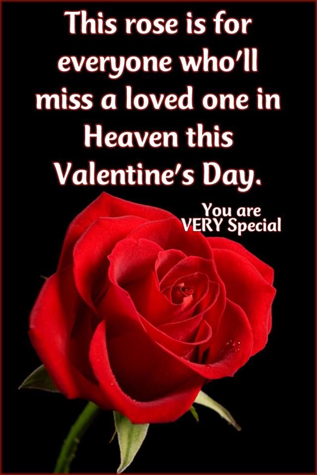 This Rose Is For Everyone Who'll Miss A Loved One In Heaven Pictures