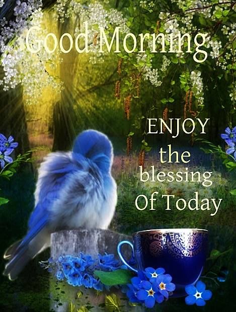 Enjoy The Blessing Of Today Pictures, Photos, and Images for Facebook