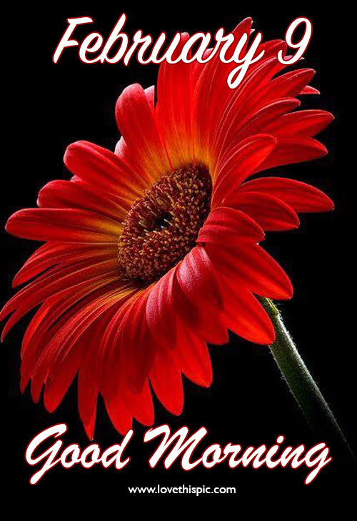 February 9 Good Morning Image Pictures, Photos, and Images for Facebook