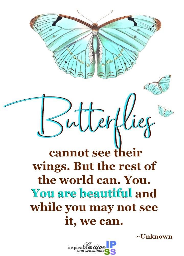 Butterflies Cannot See Their Wings Pictures, Photos, and Images for