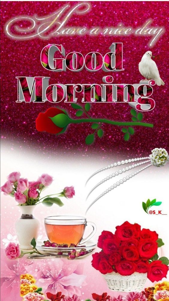 Have A Nice Day Pictures, Photos, and Images for Facebook, Tumblr