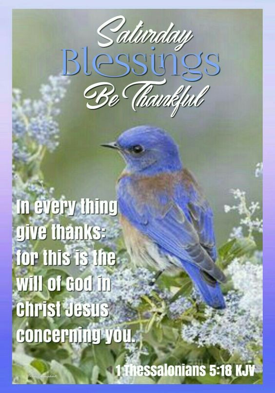 Be Thankful Saturday Blessing Pictures, Photos, and Images for Facebook