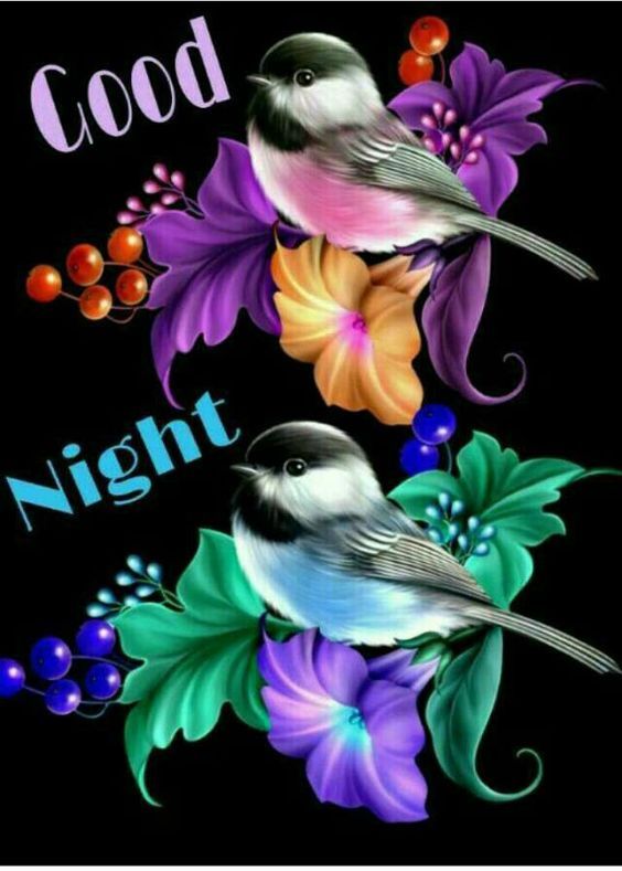 Birdy Good Night Image Pictures, Photos, and Images for Facebook