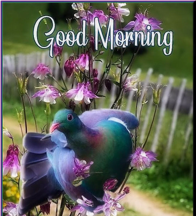 Colorful Spring Morning Quote Pictures, Photos, and Images for Facebook