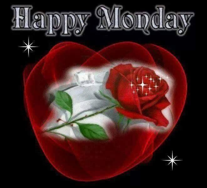 Happy Monday Rose Pictures, Photos, and Images for Facebook, Tumblr