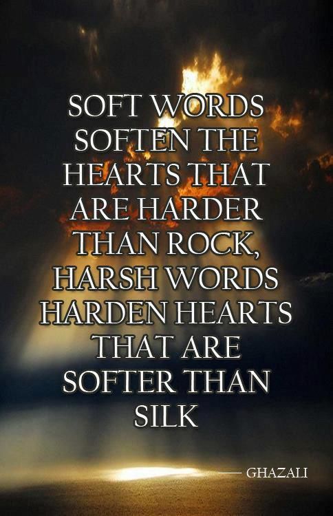 Soft Words Soften The Hearts Are Harder Than Rock, Harsh Words Harden