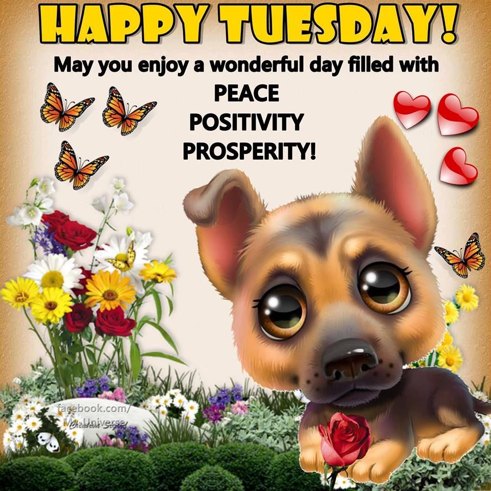 Wonderful Tuesday With Peace, Positivity, Prosperity Pictures, Photos