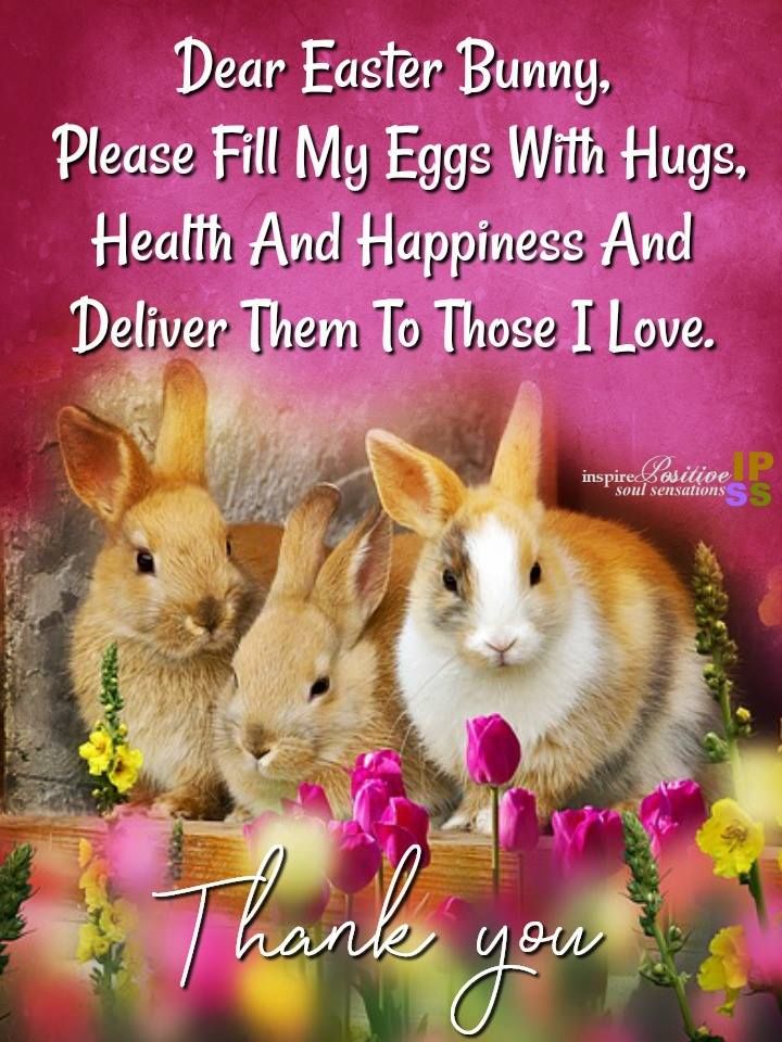 Dear Easter Bunny Pictures, Photos, and Images for Facebook, Tumblr