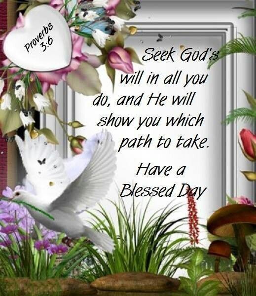 Seek God Will In All You Do, And He Will Show You Which Path To Take