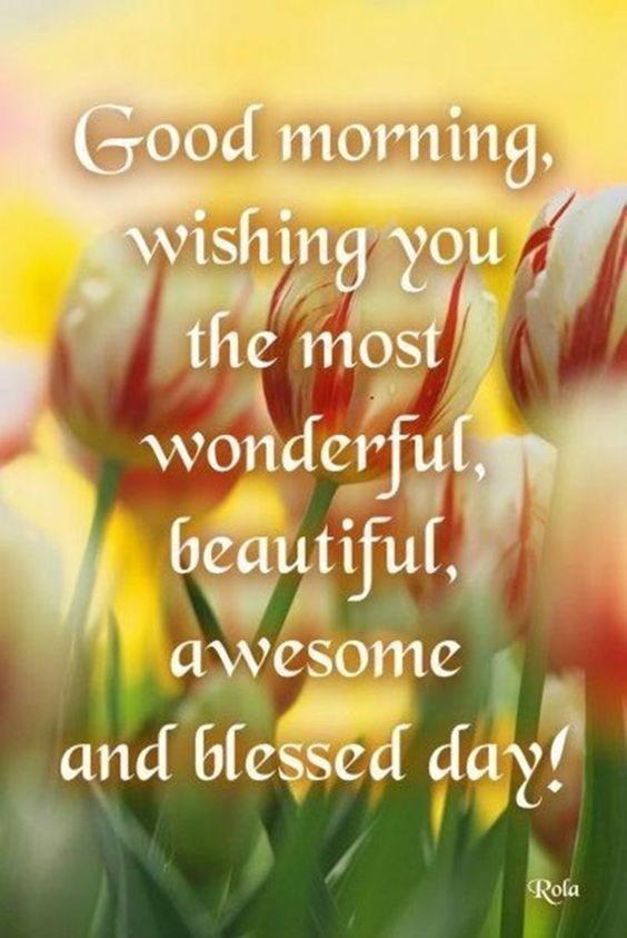 Wishing You The Most Wonderful, Beautiful, Awesome And Blessed Day