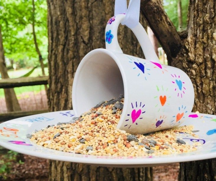 Diy Sharpie Mug Bird Feeder Pictures Photos And Images For