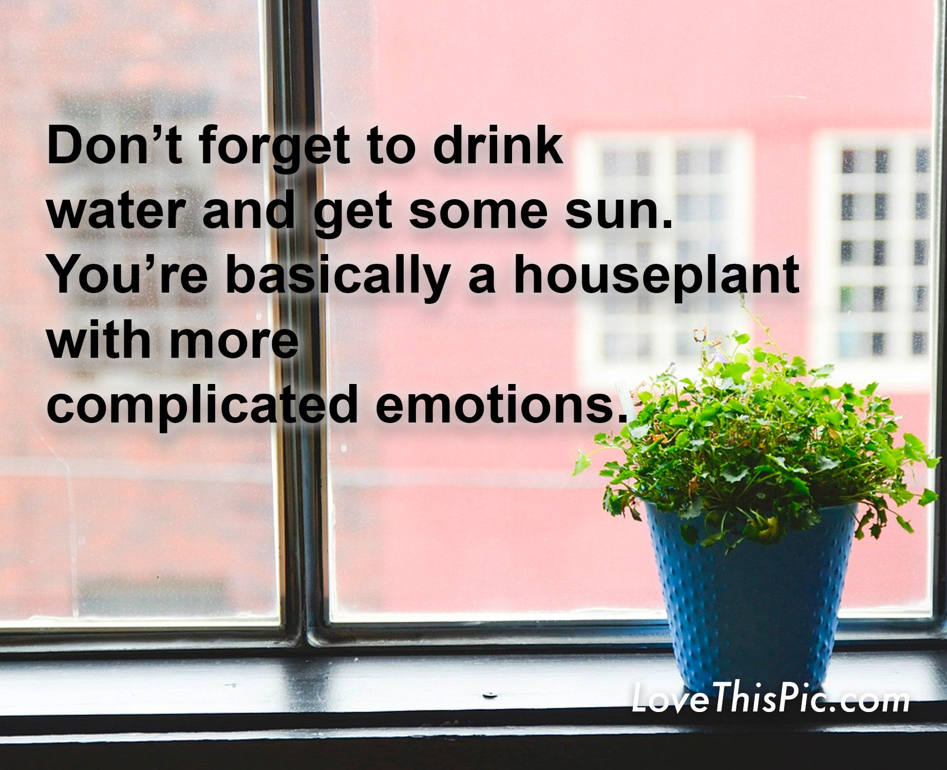 Don't Forget To Drink Pictures, Photos, and Images for Facebook, Tumblr