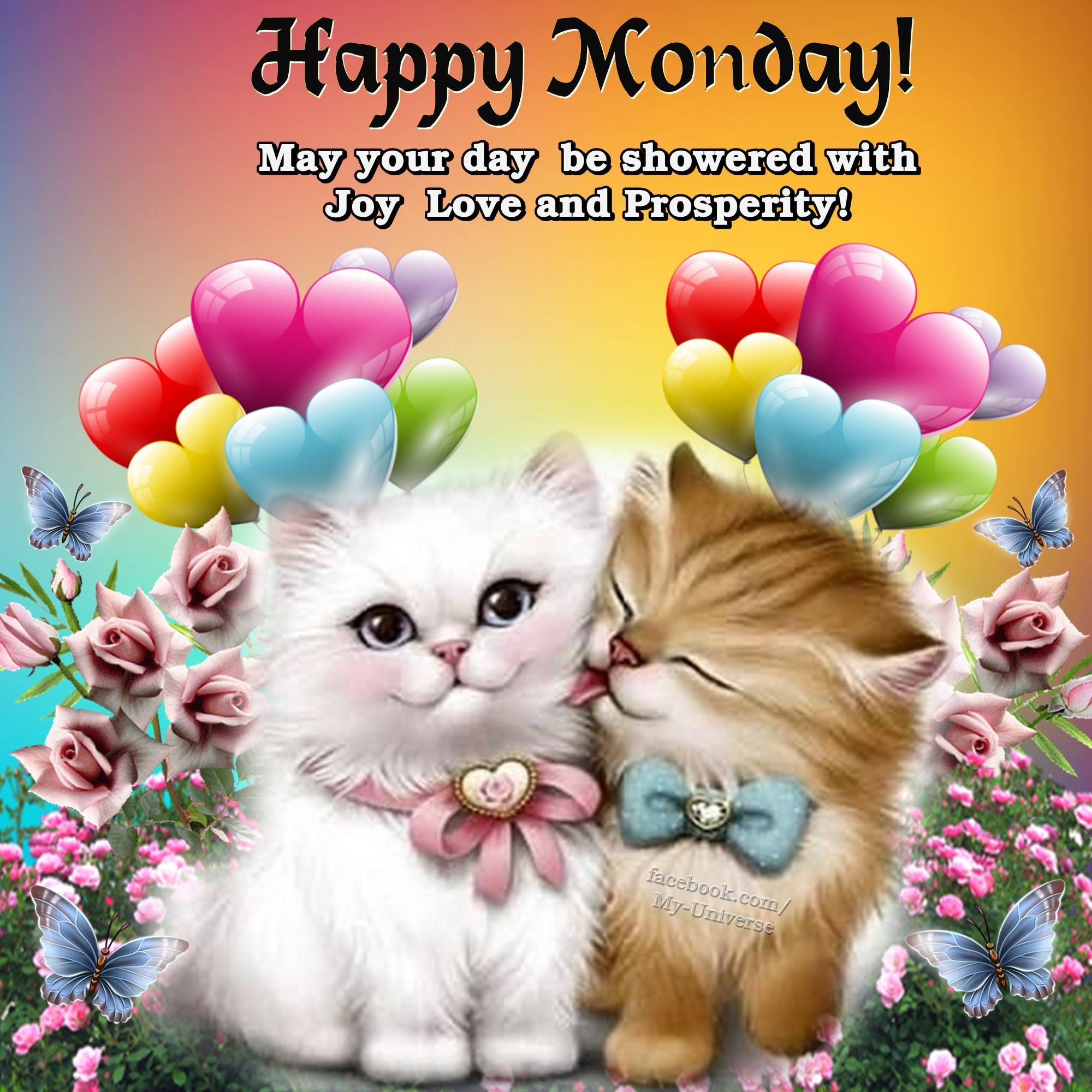 Happy Monday Pictures Photos And Images For Facebook Tumblr 