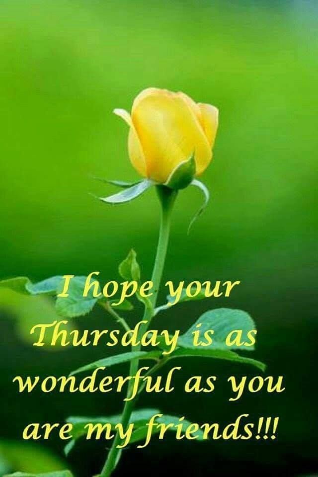 I Hope Your Thursday Is As Wonderful As You Are My Friends