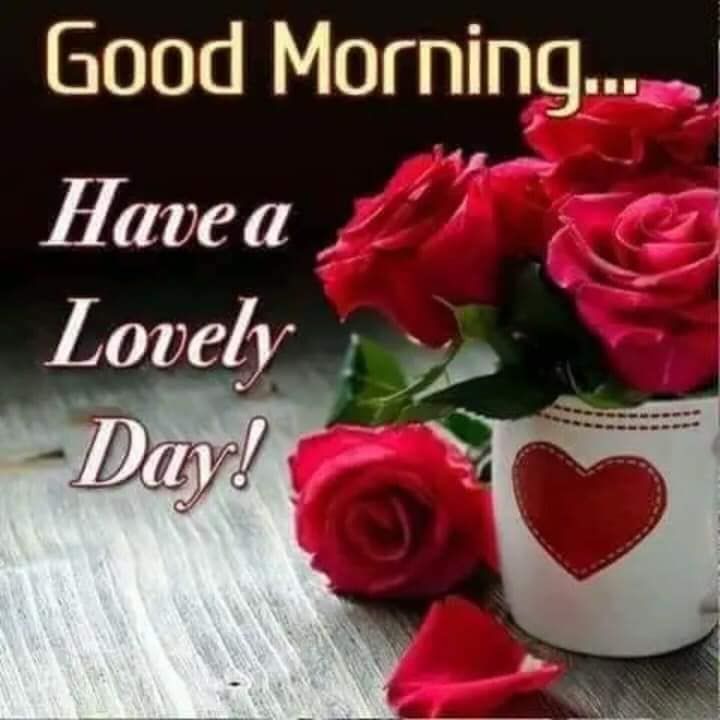 Have A Lovely Day Pictures, Photos, and Images for Facebook, Tumblr, Pinterest, and Twitter