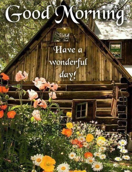 Good Morning Cabin Quote Pictures, Photos, and Images for
