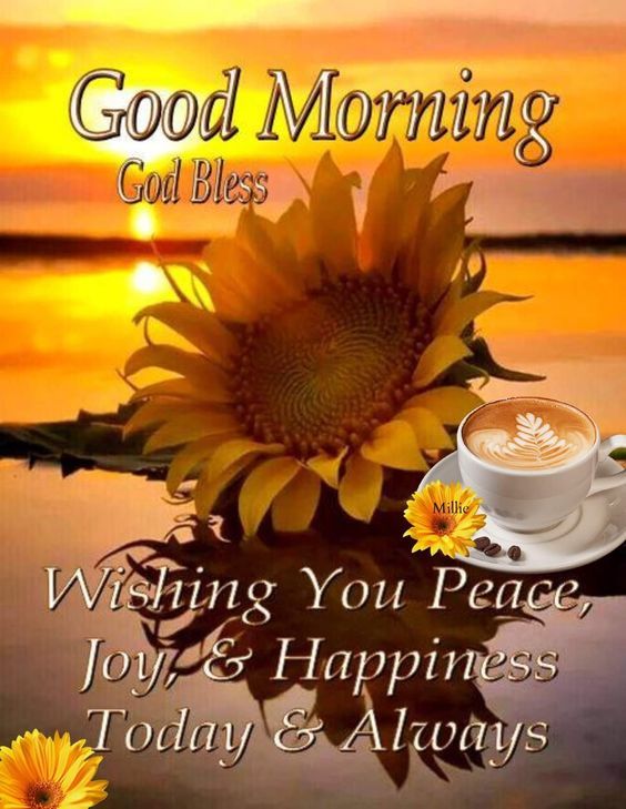 Sunflower Good Morning Sunset Pictures, Photos, and Images for Facebook