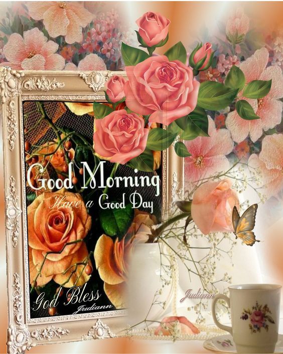 Pink Good Morning Rose Pictures, Photos, and Images for Facebook, Tumblr, Pinterest, and Twitter