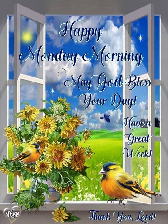 Happy Monday Morning Pictures, Photos, and Images for Facebook, Tumblr