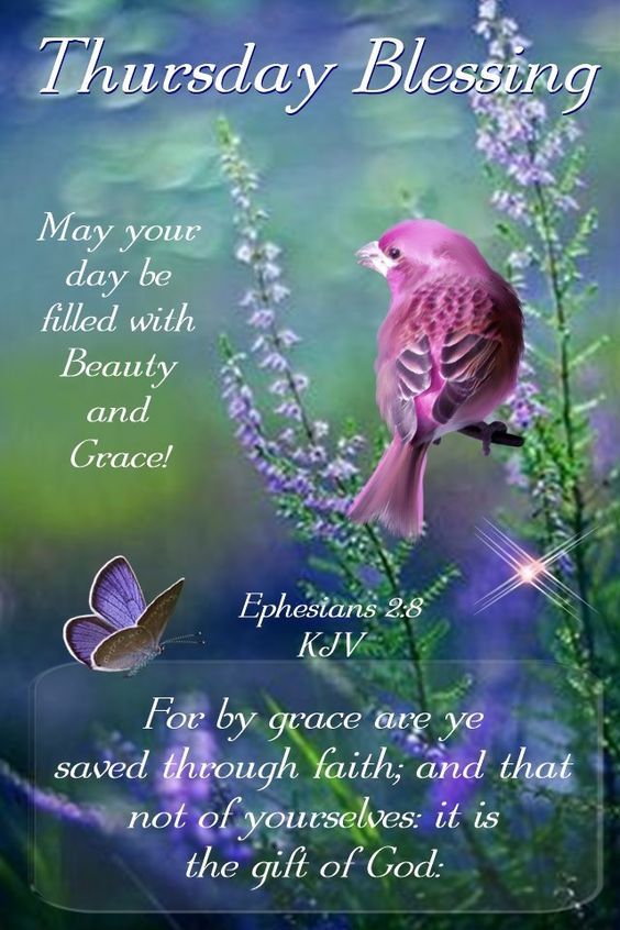 Ephesians Thursday Blessing Pictures, Photos, and Images for Facebook