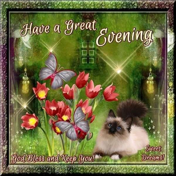 Have A Great Evening Pictures, Photos, and Images for Facebook, Tumblr