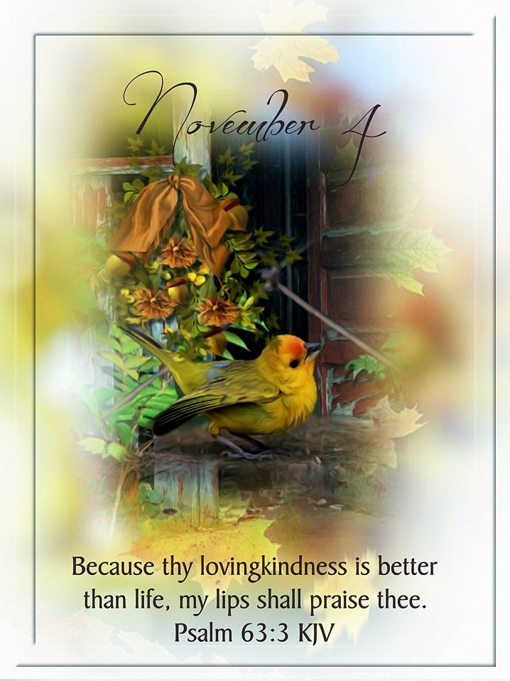 November 4 Pictures, Photos, and Images for Facebook