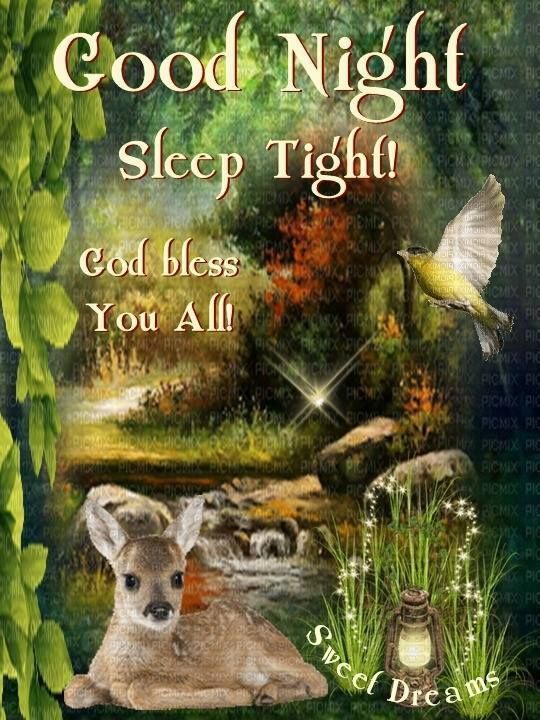 Sleep Tight Good Night Pictures, Photos, and Images for Facebook