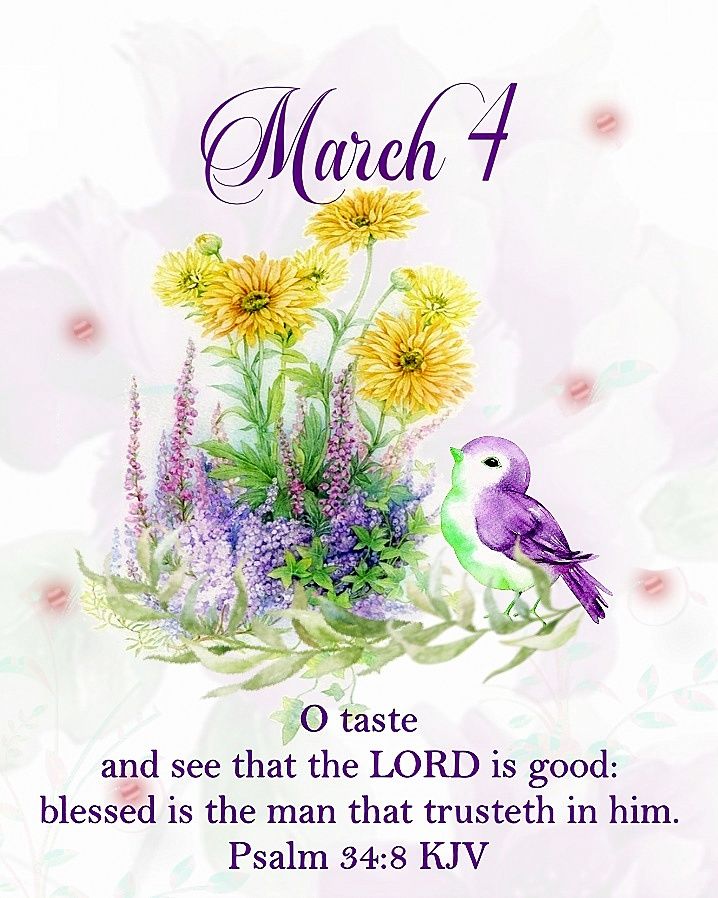 March 4 Pictures, Photos, and Images for Facebook, Tumblr, Pinterest