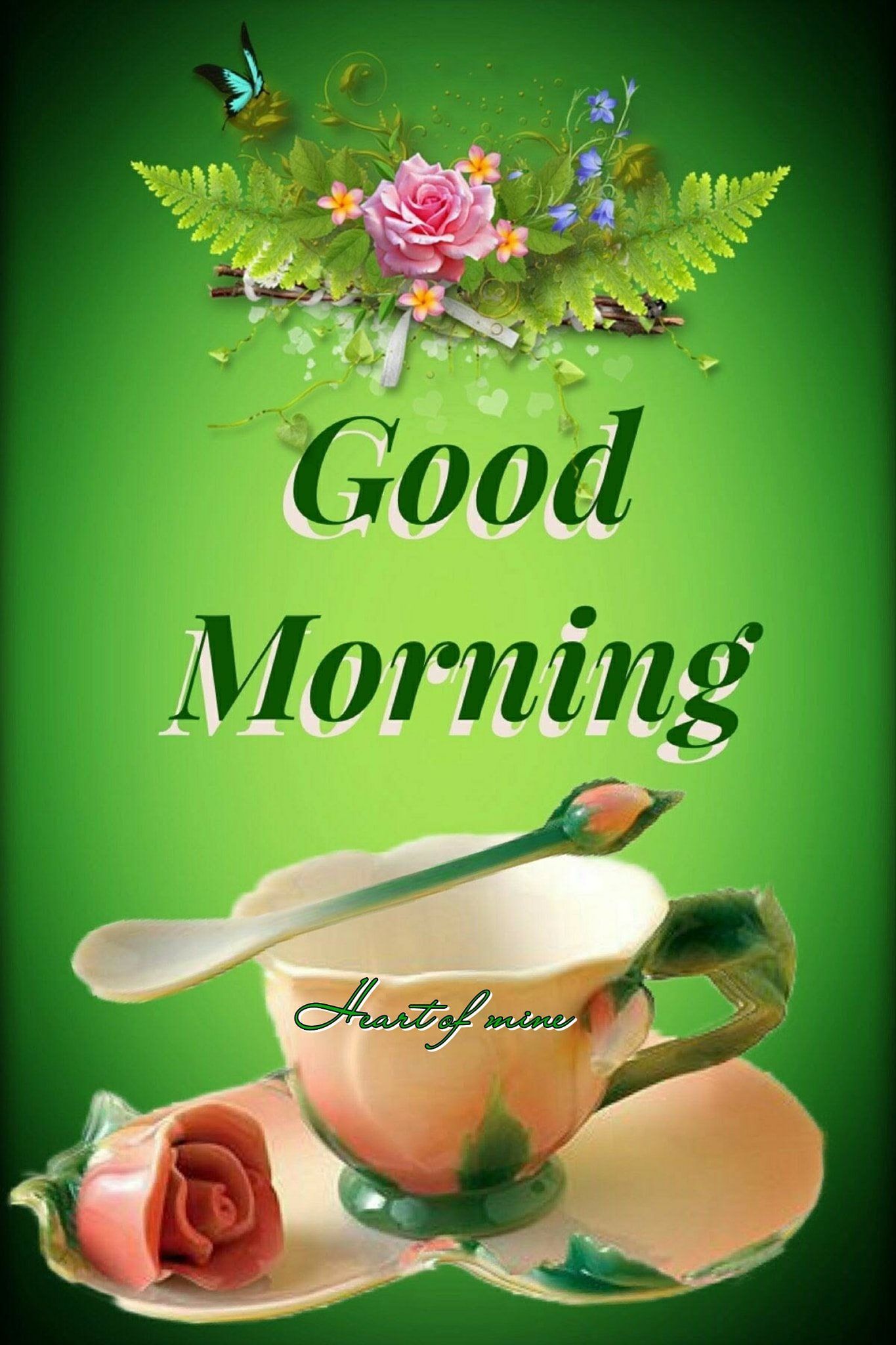 Rose Bud & Tea - Good Morning Pictures, Photos, and Images for Facebook
