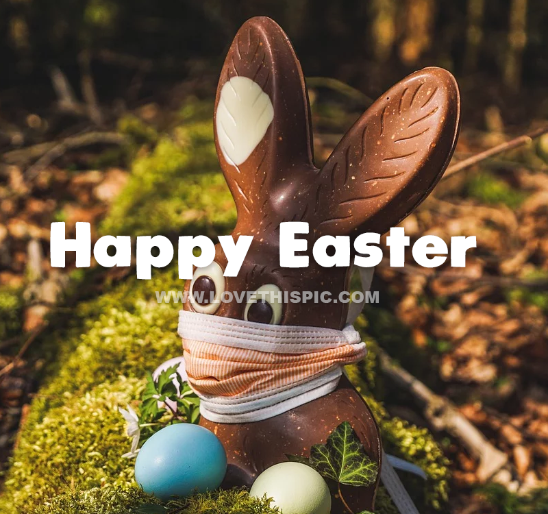 Chocolate Easter Bunny Happy Easter Pictures, Photos, and Images for
