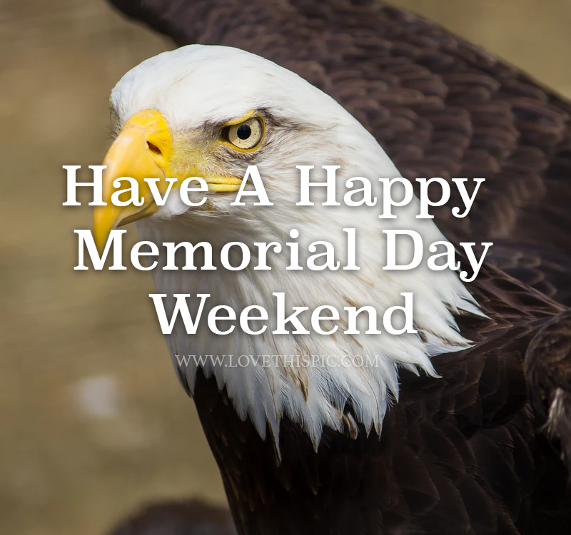 Memorial Day Bald Eagle Pictures, Photos, and Images for Facebook