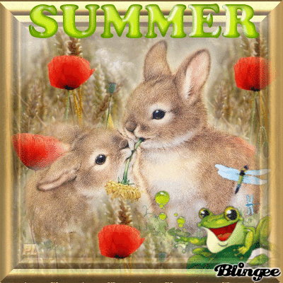 Summer Bunnies Pictures, Photos, and Images for Facebook, Tumblr
