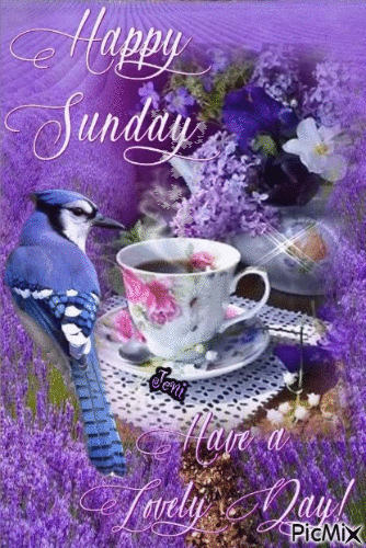 Lovely Day & Happy Sunday Pictures, Photos, and Images for Facebook