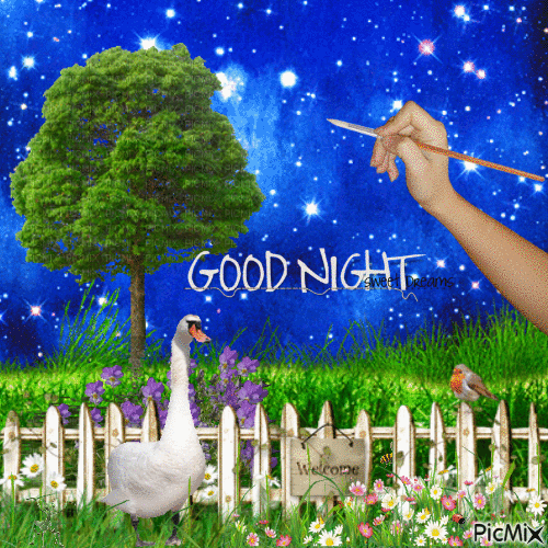 Starry Good Night Gif Pictures, Photos, and Images for Facebook, Tumblr