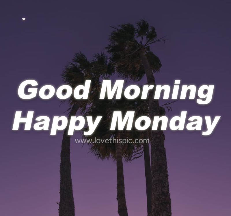 Tall Palm Trees Good Morning Monday Pictures, Photos, and Images for