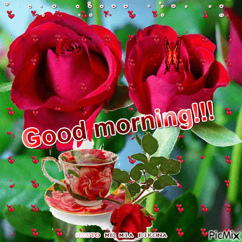 Two Rose Good Morning Gif Pictures, Photos, and Images for Facebook, Tumblr, Pinterest, and Twitter