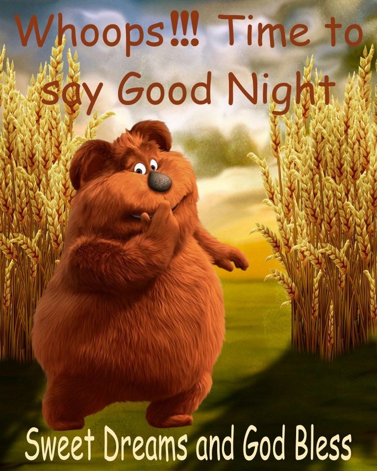 Whoops! Time To Say Good Night Pictures, Photos, and Images for