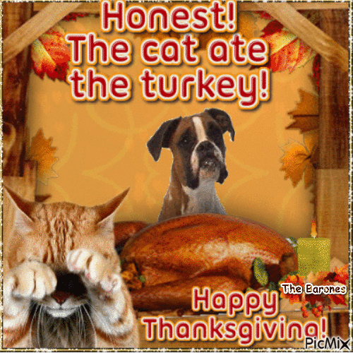The Cat Are The Turkey Pictures, Photos, and Images for Facebook