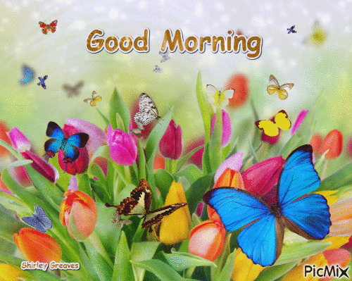 Tulip Good Morning Gif Pictures, Photos, and Images for Facebook