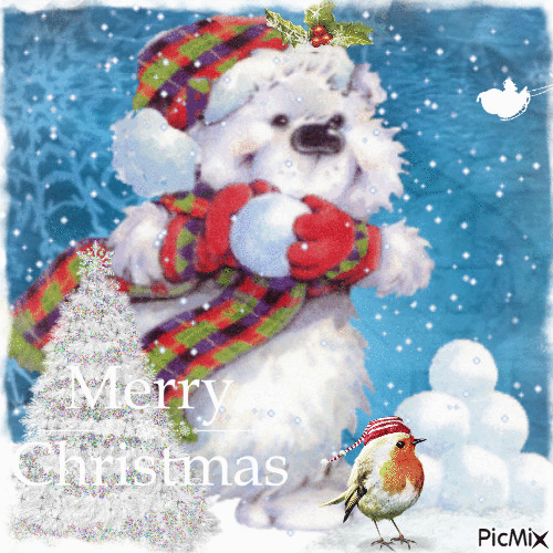 Dog Playing In Snow Pictures, Photos, and Images for Facebook, Tumblr