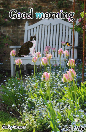 Sunny Day Good Morning Gif Pictures, Photos, and Images for Facebook