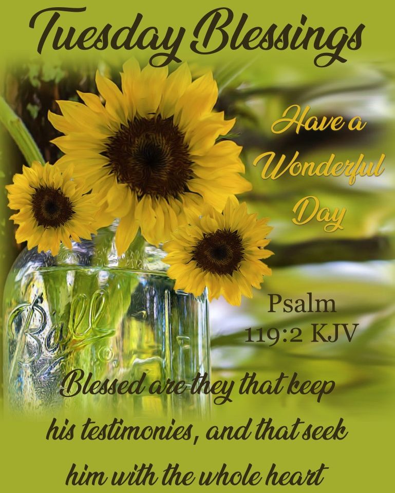 Sunflower Tuesday Blessings Pictures, Photos, and Images for Facebook
