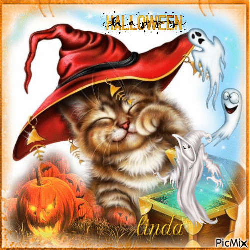Happy Cat Halloween Gif Pictures, Photos, and Images for Facebook