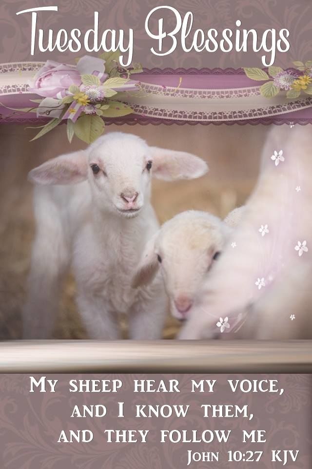 how do i get to my other instagram account