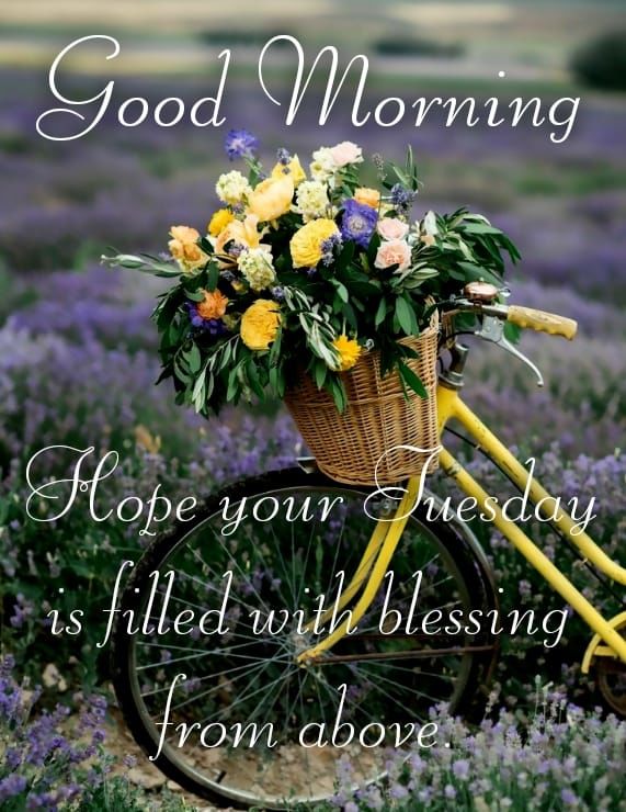 Hope Your Tuesday Is Filled With Blessings From Above Pictures, Photos