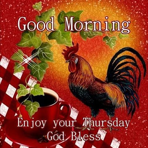 Rooster Good Morning Thursday Quote Pictures, Photos, and Images for