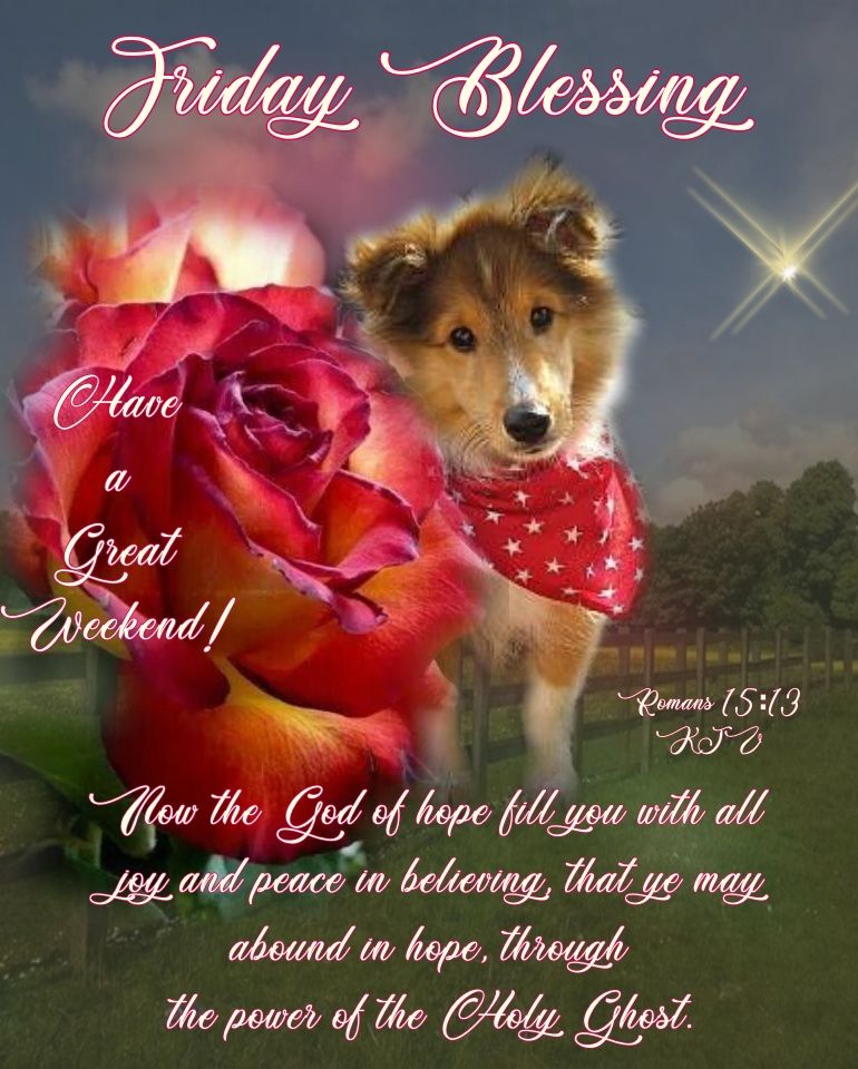 Dog Rose Friday Blessing Quote Pictures, Photos, and Images for